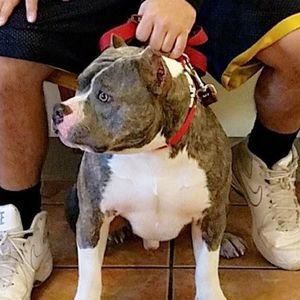 Meet your Posher, Ramie